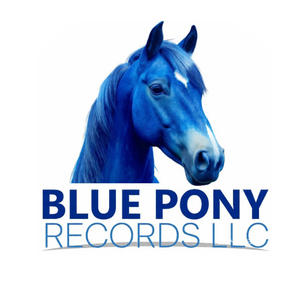 BLUE PONY RECORDS LLC